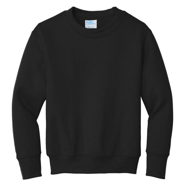 GO USA Crewneck Sweatshirt - Youth Thumbnail